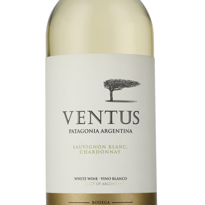 Fin Köp Wine Sauvignon Del 2021 i dag Ventus Blanc-Chardonnay Patagonien Philipson | Bodega Mundo Del
