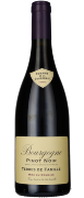 2019 Bourgogne Pinot Noir Terres de Famille La Vougeraie