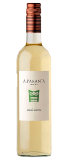 2019 Alpamanta Natal Sauvignon Blanc  Mendoza