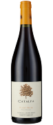 2016 Catalpa Pinot Noir Mendoza Bodega Atamisque