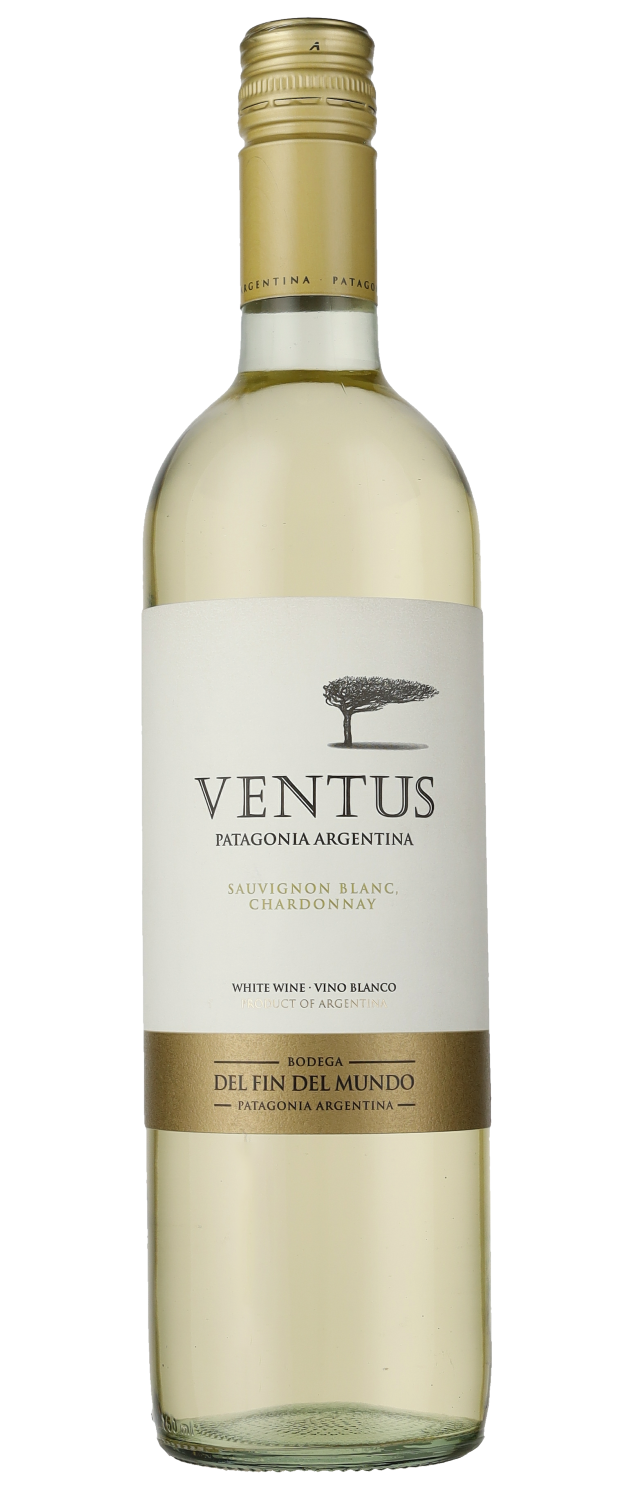 Köp 2021 Ventus Sauvignon Blanc-Chardonnay Fin Bodega | Wine Del Philipson Patagonien dag Del i Mundo