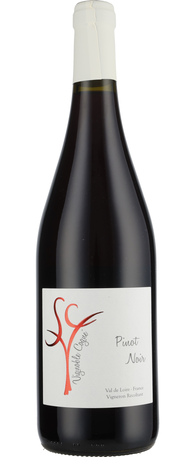 Køb 2022 Pinot Noir Rouge IGP Loire Domaine Vignoble Cogné i dag |  Philipson Wine