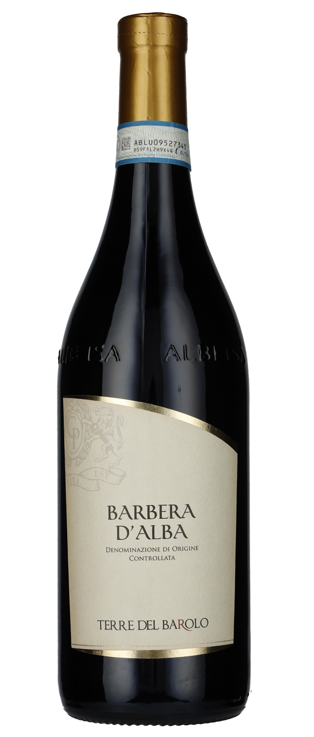 2019 Barbera d'Alba Cantina Terre del Barolo