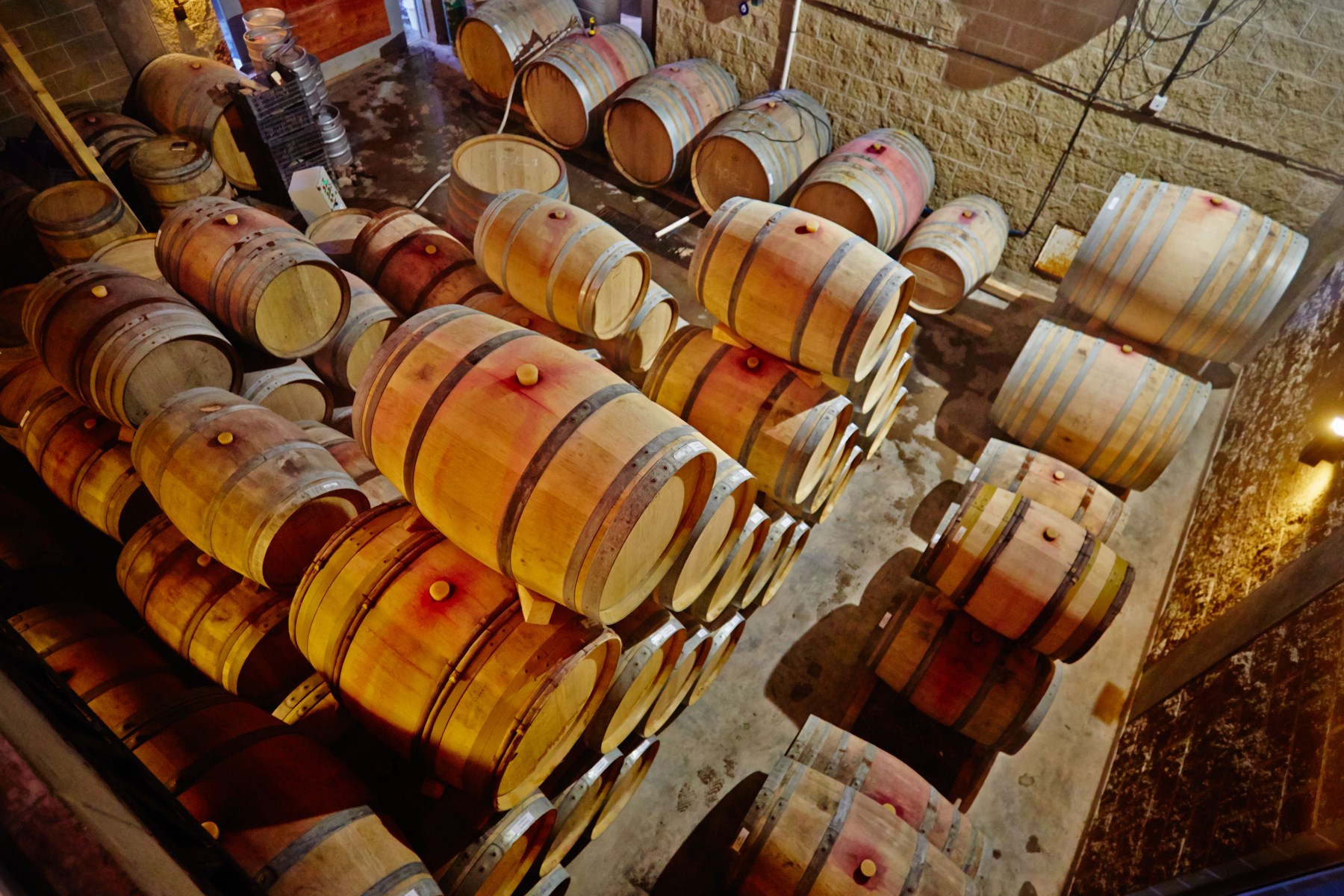 Bodega Chacra