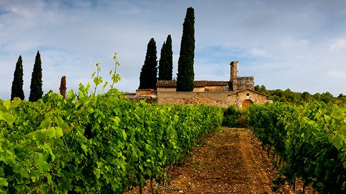 Sumarroca